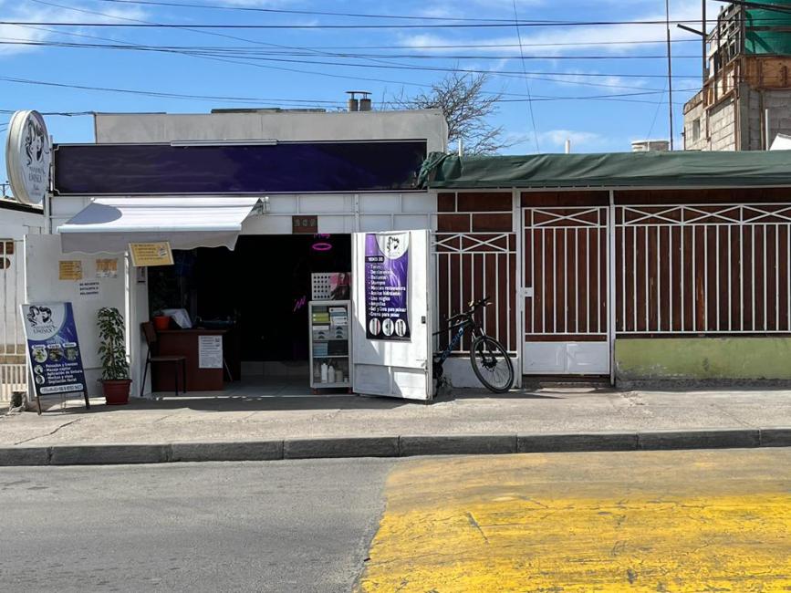 Propiedad en calle Riquelmes 